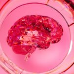 A close up of a glass with a pink substance in it