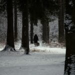 Person walking through a snowy forest path