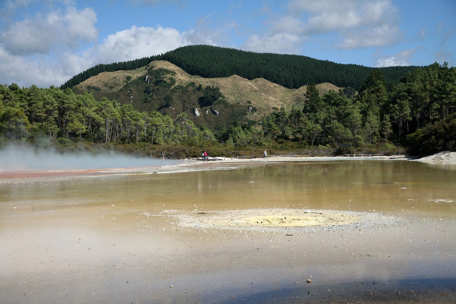 Rotorua New Zealand in 2026: A 4-Day Nature, Māori Culture and Wellness Itinerary