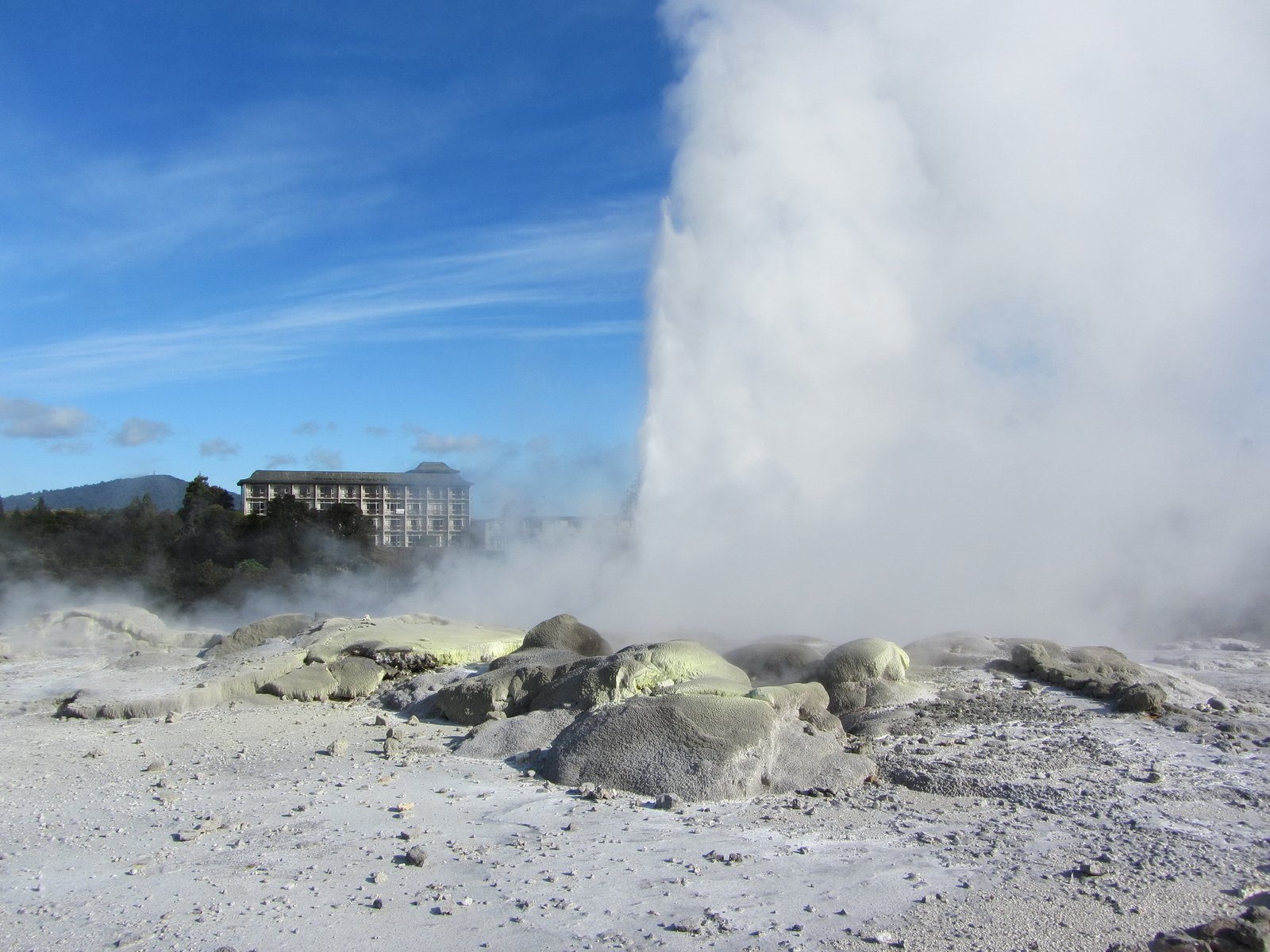 Pohutu Geyser and geothermal landscape at Te Puia Rotorua