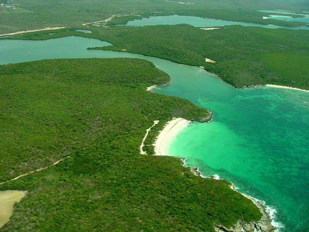 Aerial view of the bioluminescent bay area in Vieques Puerto Rico