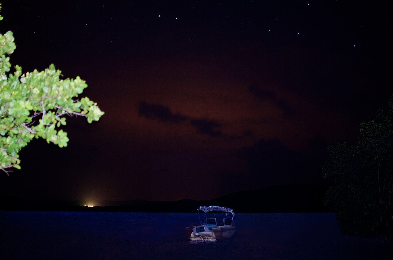Vieques Bioluminescent Bay in 2026: How to Plan a Safe Night Kayak Trip