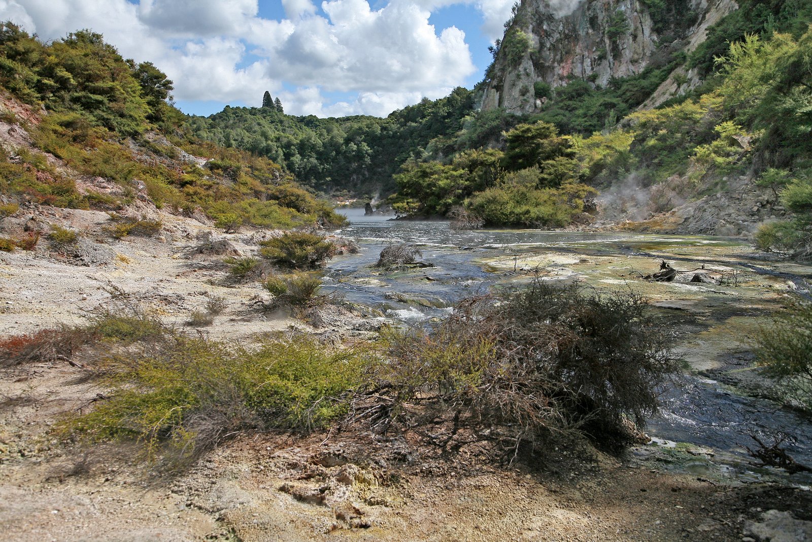 Waimangu Volcanic Valley near Rotorua New Zealand